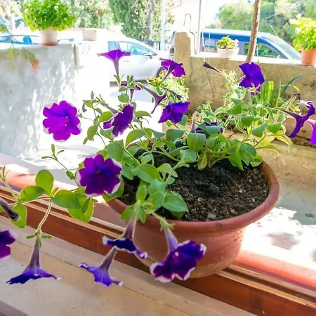 Bright And Light