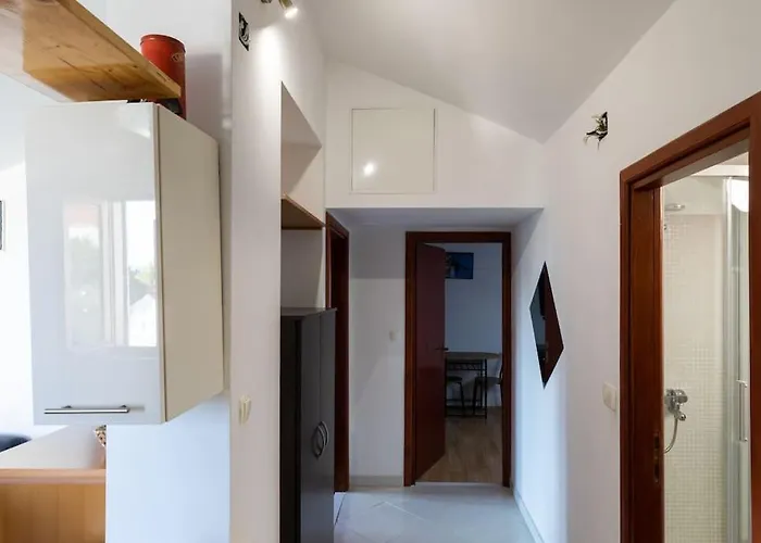 Bright And Light Apartament *